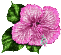 Animated.Flower.Pink - By KittyKatLuv65 - Gratis geanimeerde GIF