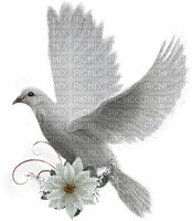 dove - δωρεάν png