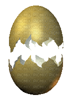 Golden Egg - Darmowy animowany GIF