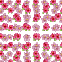 spring printemps flower fleur blossom fleurs gif anime animated tube deco fond overlay background blumen pink effect