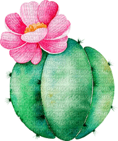 watercolor cactus Bb2 - png ฟรี