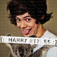 Harry Styles - Free PNG
