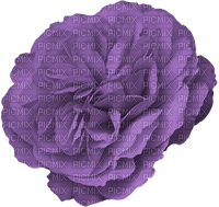 blomma--flower--purple--lila - bezmaksas png