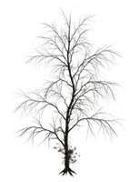 dark tree - nemokama png