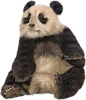 Kaz_Creations Animals Animal Panda - gratis png