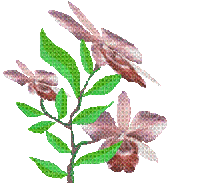 lotus - Besplatni animirani GIF