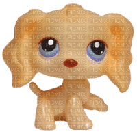 lps 91 - Free PNG