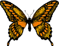 chantalmi   papillon beige doré orange golden butterfly - GIF animado grátis