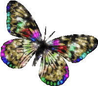Vlinder - Ücretsiz animasyonlu GIF
