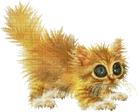 cat chat katze animal gif anime animated animation tube fun animals animaux mignon - 無料のアニメーション GIF