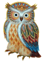 Kaz_Creations Owls Owl Birds Bird - ilmainen png