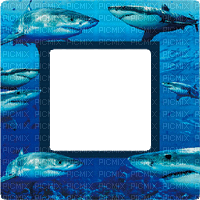 shark frame 3 d gif  requin cadre - GIF animé gratuit