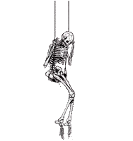 skeleton bp - Darmowy animowany GIF