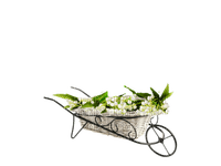garden trolley - gratis png