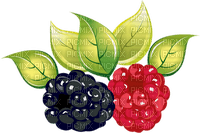 berries Bb2 - png ฟรี
