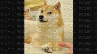 doge - 免费PNG