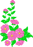fleur, garden,gif,summer,deko,Pelageya - Ingyenes animált GIF