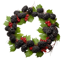 mulberry wreath Bb2 - PNG gratuit