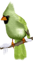 Pájaro en invierno - Free PNG