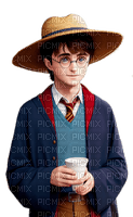 Straw Hat Harry Potter - PNG gratuit
