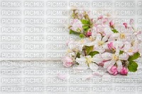 Background Spring - png gratuito