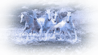 Kaz_Creations Paysage Scenery Horses Horse - zdarma png