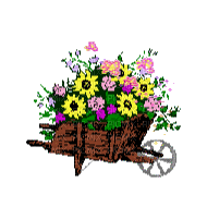 flowers - Darmowy animowany GIF