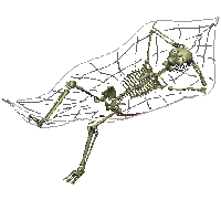 esqueleto.deco - Бесплатни анимирани ГИФ