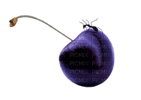 Cherry Violet - Bogusia - kostenlos png