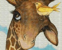 Giraffe bp - nemokama png