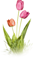 soave deco flowers garden spring tulips grass - png ฟรี