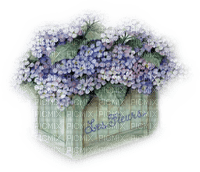 Caja de flores color lila