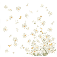 Daisies, Flowers - 無料png