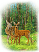 BAMBI - 免费PNG