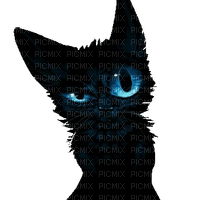 Black cat - png gratis