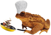 toad chef - png gratis