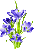 Animated.Flowers.Blue - By KittyKatLuv65 - GIF เคลื่อนไหวฟรี