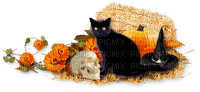 Autumn.Halloween.Cat.Black - PNG gratuit