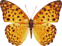 autumn deco kikkapink png orange butterfly - PNG gratuit