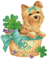 Kaz_Creations  Irish St.Patricks Day Deco Dog Pup - gratis png