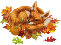 Fox - Autumn - PNG gratuit