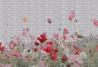image encre animé effet fleurs la nature paysage  printemps  edited by me - Безплатен анимиран GIF