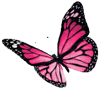 Animated.Butterfly.Pink - By KittyKatLuv65 - Free animated GIF