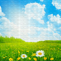 Y.A.M._Summer background flowers - δωρεάν png