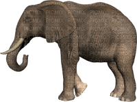 Kaz_Creations Elephant - ücretsiz png