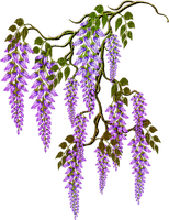 fleur violette.Cheyenne63 - Free PNG