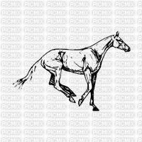 cheval - Gratis geanimeerde GIF