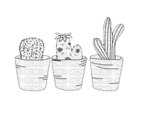 ✶ Cactus {by Merishy} ✶ - безплатен png