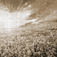 Y.A.M._Landscape background sepia - Bezmaksas animēts GIF