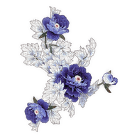 Blue flower.Fleur.Bouquet.Plants.Deco.Victoriabea